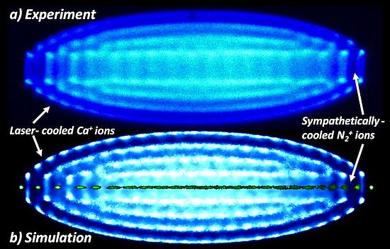 Molecular ions sympathetically cooled into a Coulomb crystal